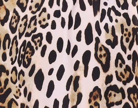 Gepard 1