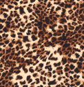 Leo 2