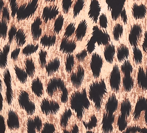 Leo 4