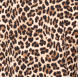Leo-Matt