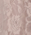Spitzenhose 20635