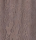 Spitzenhose 20635