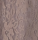 Spitzenhose 20634