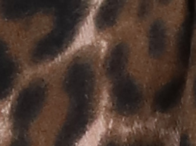 Leo Beige