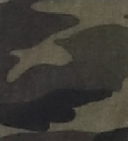 military 81109